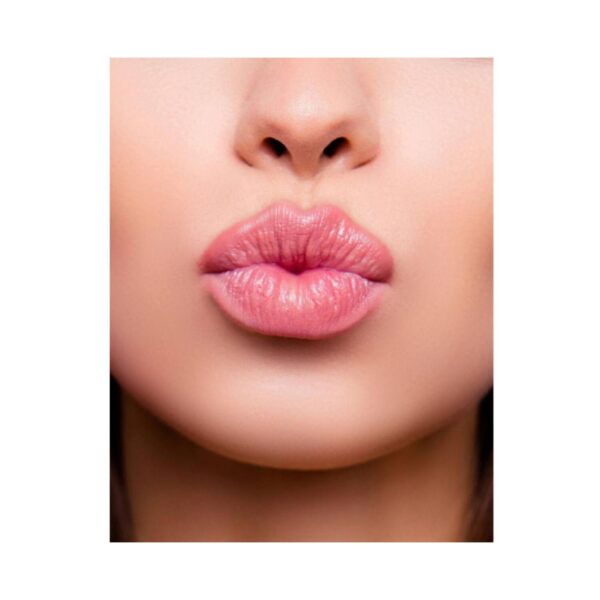 Lakme Lip Love Chapstick Lip Balm - Apricot (4.5g) - Lakme