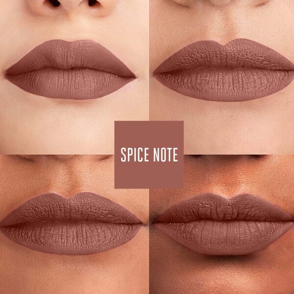 Lakme Perfect Definition Lip Liner - Spice Note (0.78g) - Lakme