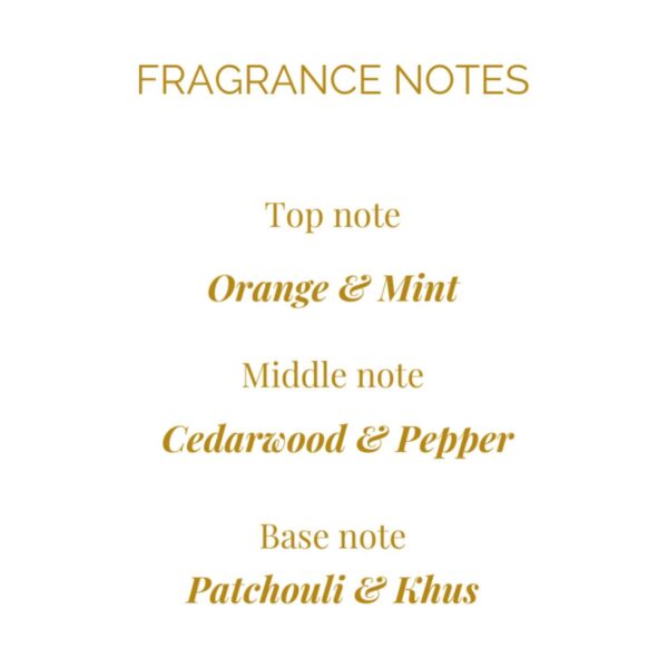 Legend 1942 In-DNA Black Perfume (100 ml) - Legend 1942