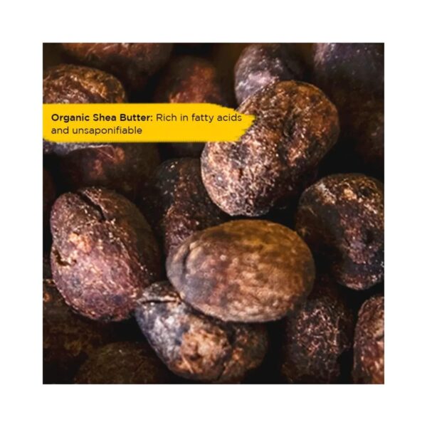 L'Occitane Almond & Shea Radicance Duo - Skin Oil & Lip Balm Combo - L'occitane