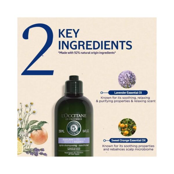 L'occitane Aromachologie Gentle & Balance Conditioner - (75ml) - L'occitane