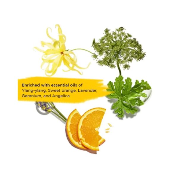 L'occitane Aromachologie Repairing Conditioner - (250ml) - L'occitane