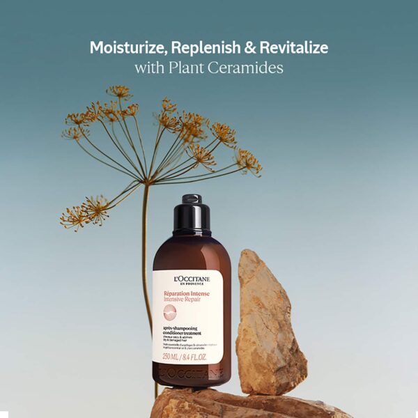 L'occitane Intensive Repair Conditioner Travel Size (75 ml) - L'occitane