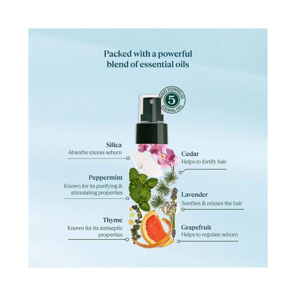 L'occitane Purifying Freshness Dry Shampoo Mist (80 ml) - L'occitane