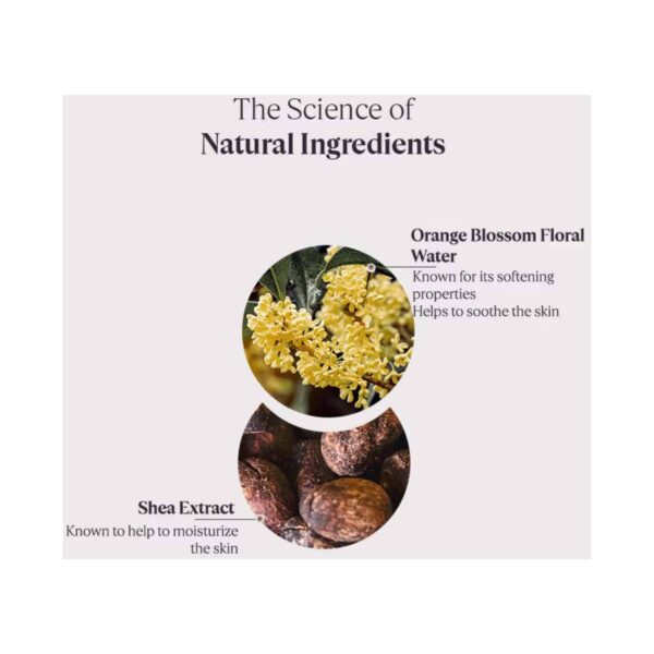 L'occitane Shea Butter Solid Cleanser (75 g) - L'occitane