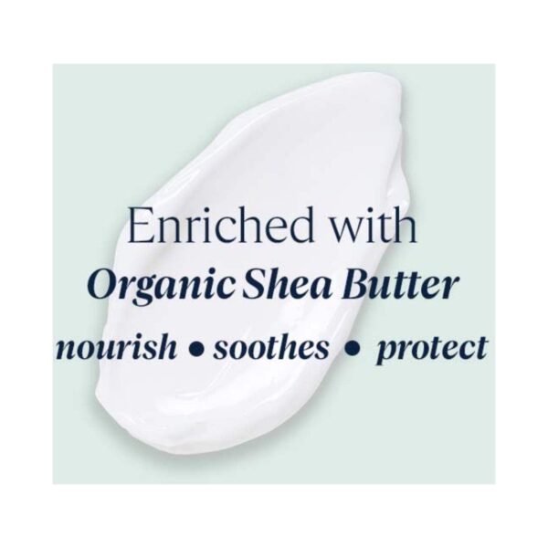 L'occitane Shea Sparkling Leaves Light Hand Cream (150ml) - L'occitane
