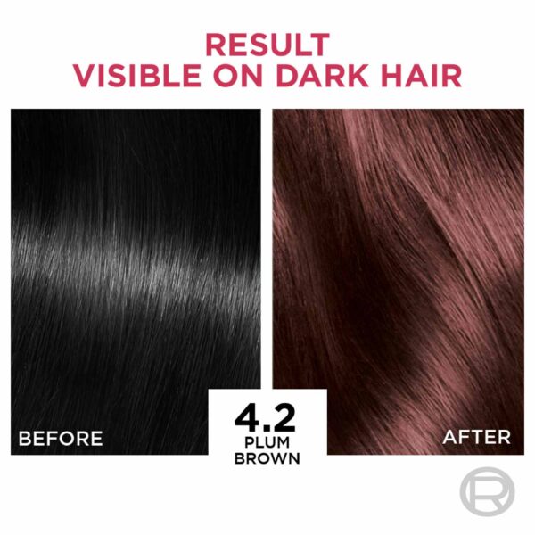 L'Oreal Paris Excellence Creme Hair Color, 4.2 Plum Brown, 72ml+100g - L'Oreal Paris