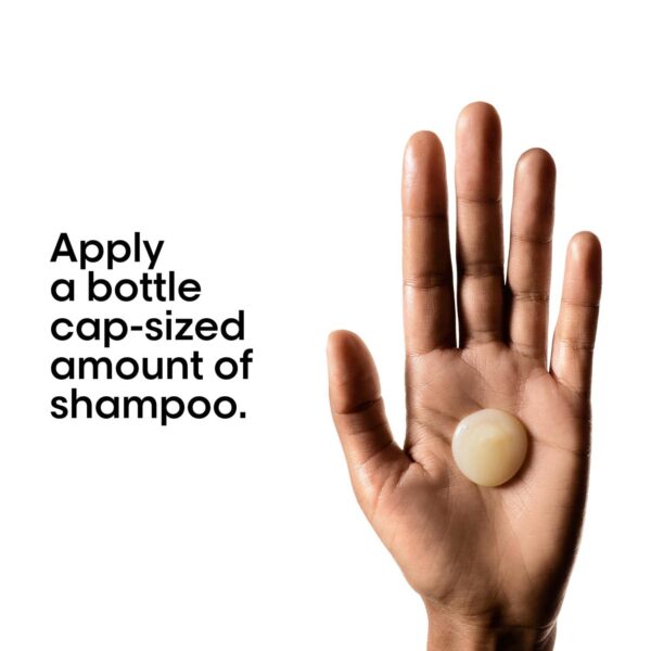 L'OREAL PROFESSIONNEL Absolut Repair Shampoo For Dry and Damaged Hair With Protein & Omega 9 (300 ml) - L'OREAL PROFESSIONNEL