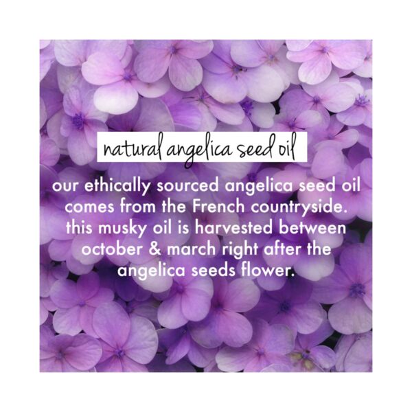 LOVE beauty AND planet Rice Water & Angelica Seed Oil Leave-In Conditioner (200ml) - LOVE beauty AND planet