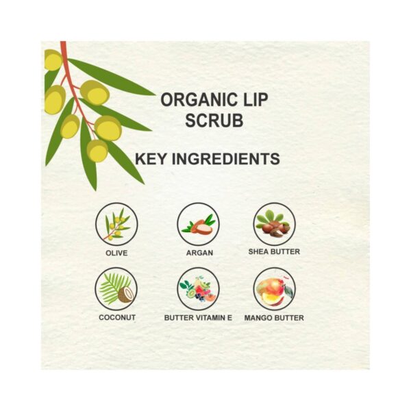 Love Earth Organic Lip Scrub (30g) - Love Earth