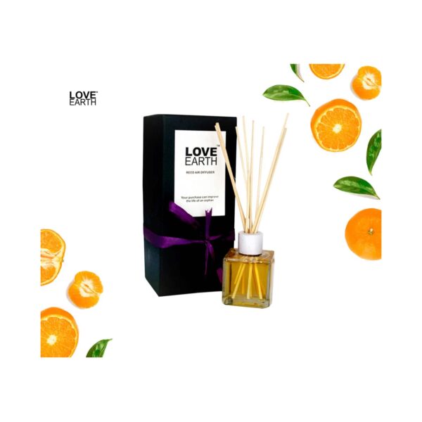Love Earth Premium Mandarin Reed Diffuser Toxin Free Long Lasting Fragrance (30ml) - Love Earth