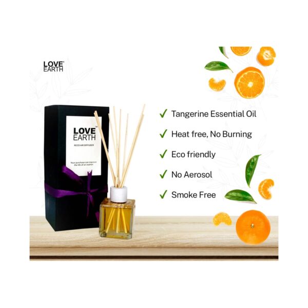Love Earth Premium Mandarin Reed Diffuser Toxin Free Long Lasting Fragrance (30ml) - Love Earth