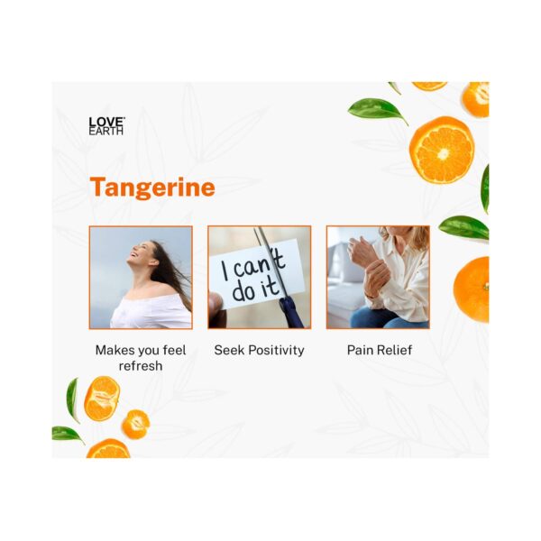 Love Earth Premium Mandarin Reed Diffuser Toxin Free Long Lasting Fragrance (30ml) - Love Earth