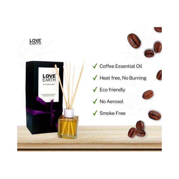 Love Earth Premium Reed Diffuser Coffee Toxin Free Long Lasting Fragrance (30ml) - Love Earth