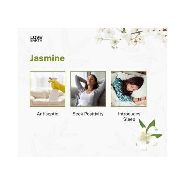 Love Earth Premium Reed Diffuser Jasmine Long Lasting Fragrance (30ml) - Love Earth