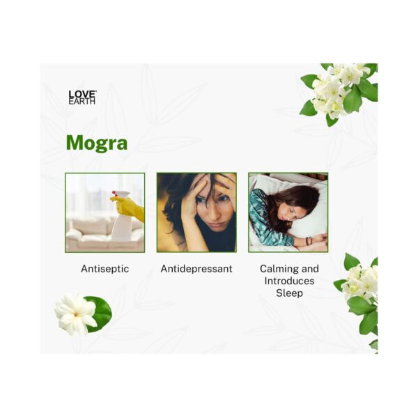 Love Earth Premium Reed Diffuser Mogra Scent Long Lasting Fragrance (30ml) - Love Earth