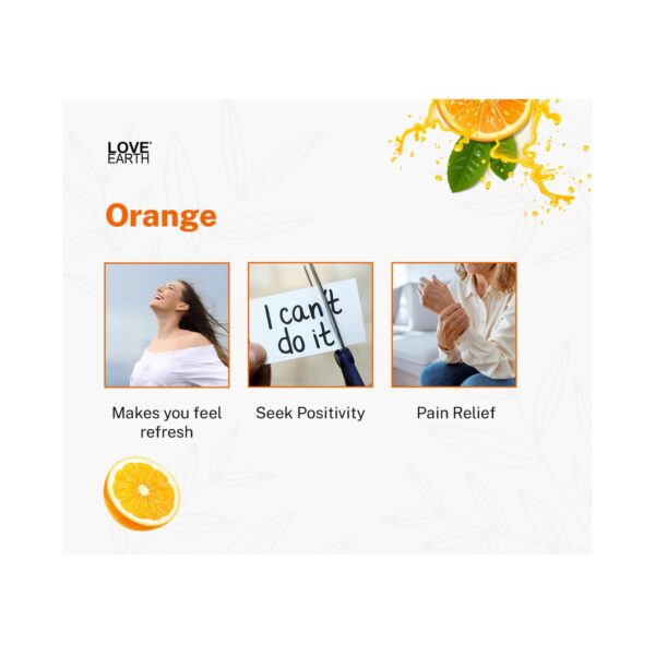Love Earth Premium Reed Diffuser Orange Natural Long Lasting Fragrance (30ml) - Love Earth