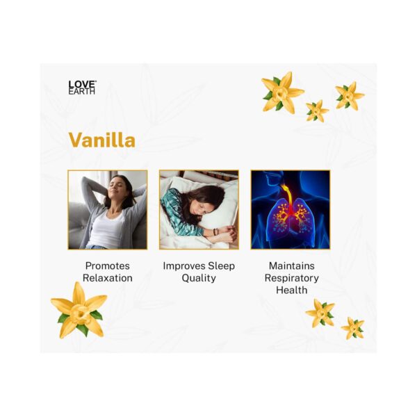 Love Earth Premium Reed Diffuser Vanilla Aromatherapy Long Lasting Fragrance (30ml) - Love Earth