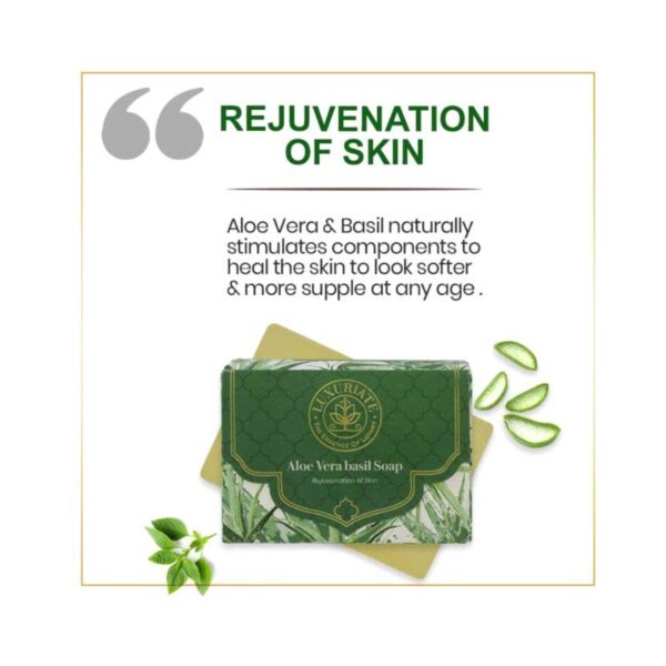 LUXURIATE Naturally Refreshing Aloe Vera and Basil Soap (125g) - LUXURIATE