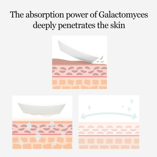 Mixsoon Grease Control - Galactomyces Toner Pad & Heartleaf Essence for Oily, Acne Prone Skin Combo - Mixsoon