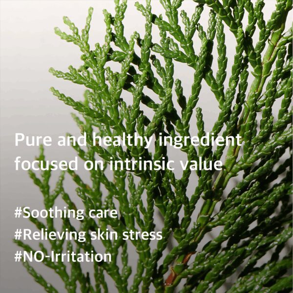 Mixsoon Hinoki Essence (100 ml) - Mixsoon