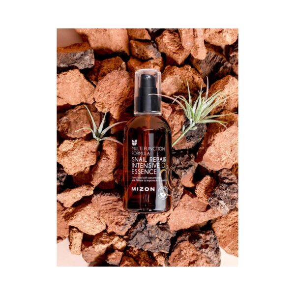 Mizon Multi Function Formula Snail Repair Intensive Essence Drop (100 ml) - Mizon