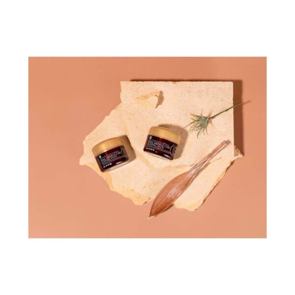 Mizon Multi Function Formula Snail Wrinkle Care Sleeping Pack (80 ml) - Mizon