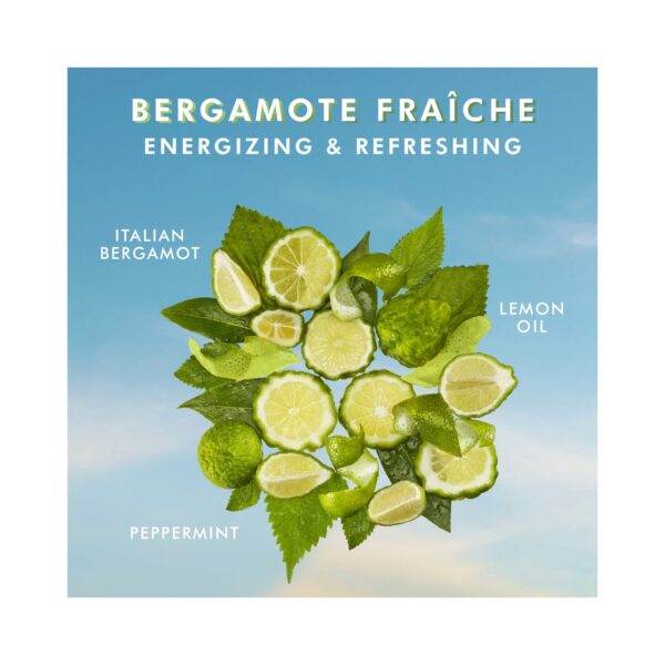 Moroccanoil Bergamot Fraiche Shower Gel (250ml) - Moroccanoil