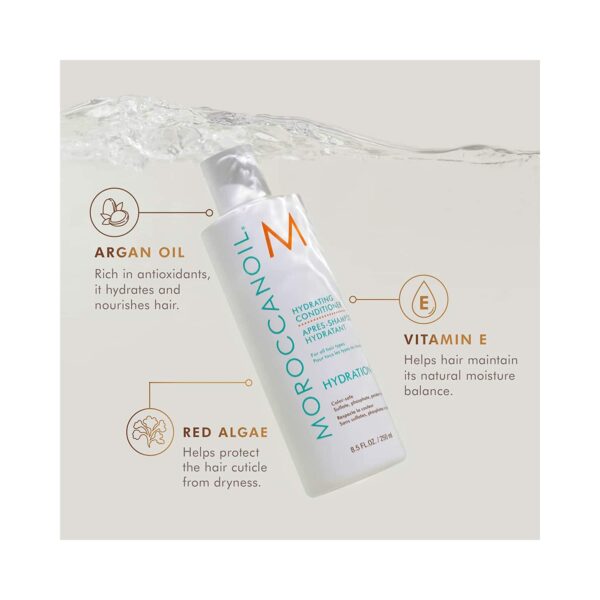 Moroccanoil Hydrating Conditioner (250ml) - Moroccanoil