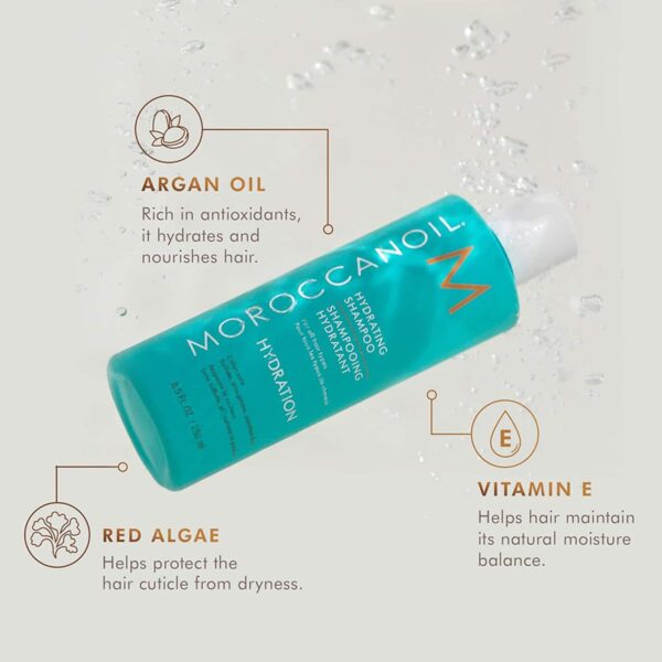 Moroccanoil Hydrating Shampoo, Hydrating Conditioner & Hydrating Styling Cream - Hydrating Combo - Moroccanoil