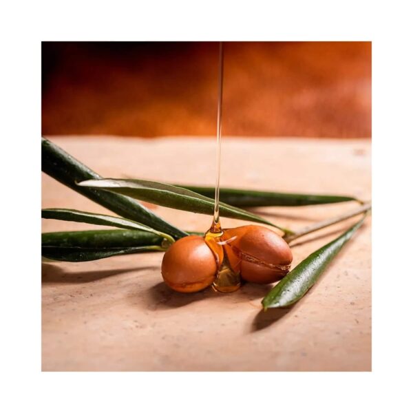 OGX Renewing Argan Oil Of Morocco Conditioner (385ml) - OGX