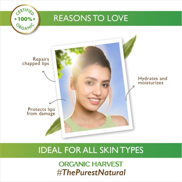 Organic Harvest Green Tea High Gloss Lip Balm (10g) - Organic Harvest