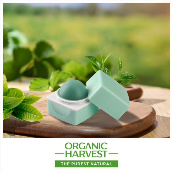 Organic Harvest Green Tea High Gloss Lip Balm (10g) - Organic Harvest
