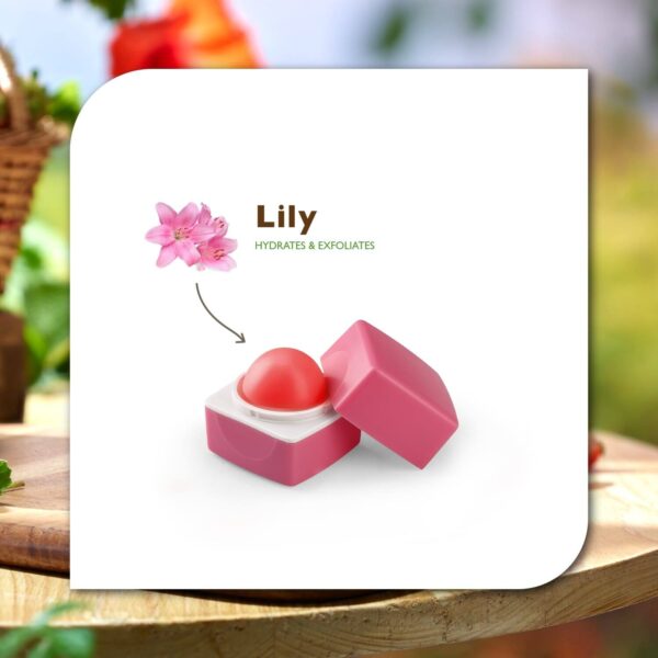 Organic Harvest Lily Pink Lip Balm (10g) - Organic Harvest
