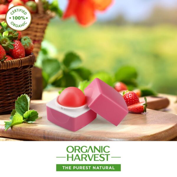 Organic Harvest Lily Pink Lip Balm (10g) - Organic Harvest