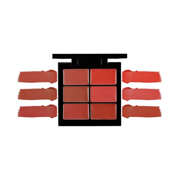 PAC 6 Color Lip Palette - 02 Nude (2 g Each) - PAC