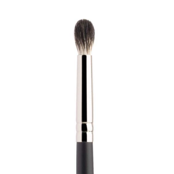 PAC Eyeshadow Blending Brush - 229 (1Pc) - PAC