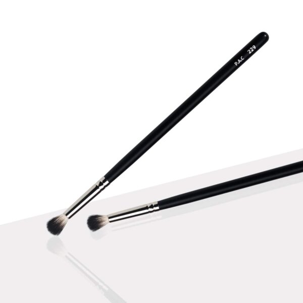 PAC Eyeshadow Blending Brush - 229 (1Pc) - PAC