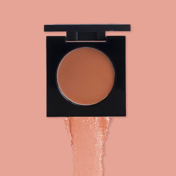 PAC Studio Cream Blusher - 01 Shade (8g) - PAC