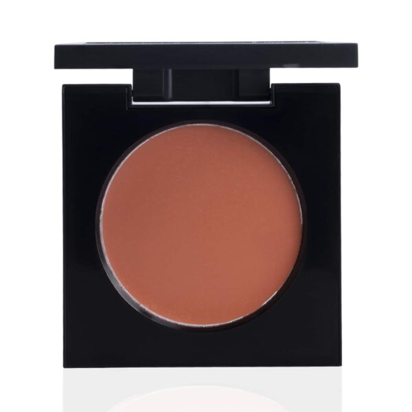 PAC Studio Cream Blusher - 01 Shade (8g) - PAC