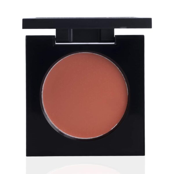 PAC Studio Cream Blusher - 02 Shade (8g) - PAC