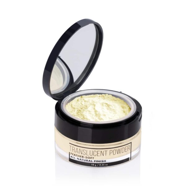 PAC Translucent Powder - 04 Shade (10g) - PAC