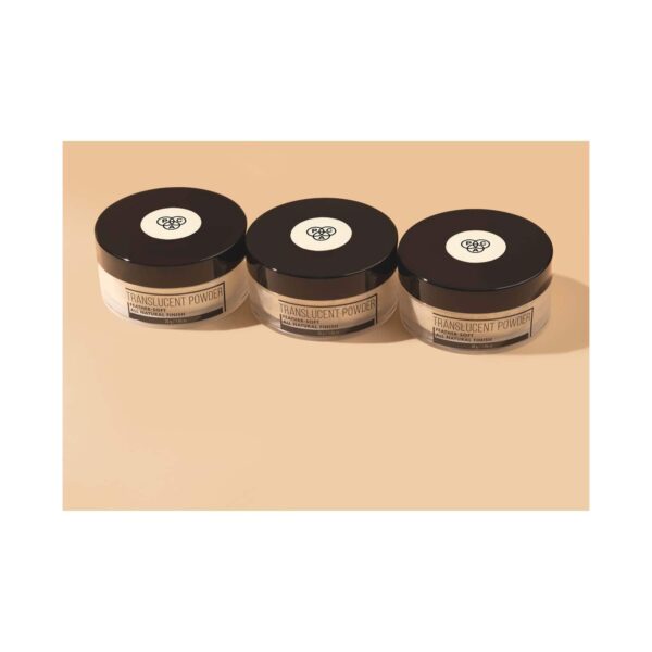 PAC Translucent Powder - 10 (30 g) - PAC