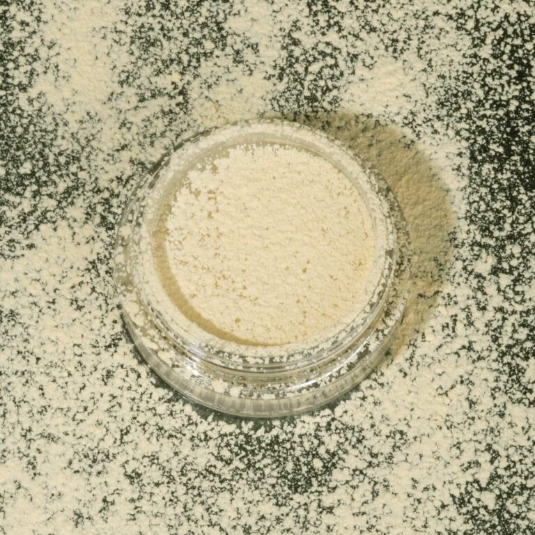 PAC Translucent Powder Mini - 04 Shade (2g) - PAC