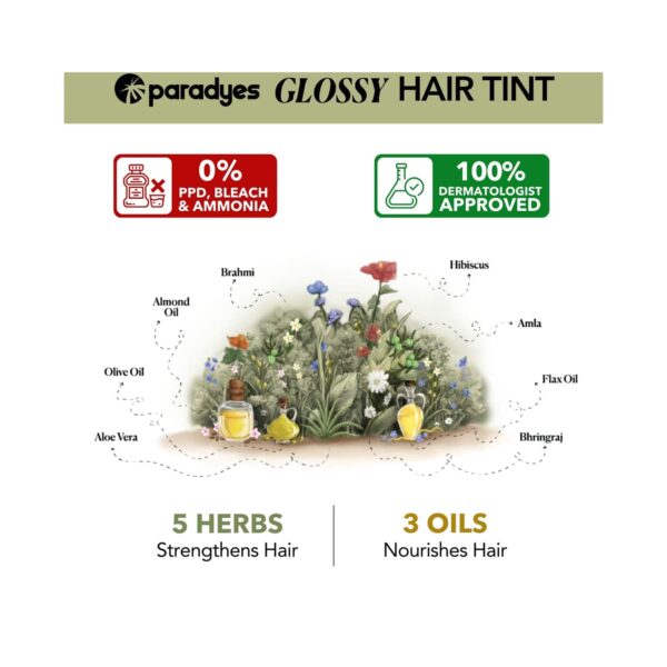Paradyes Semi-Permanent Hazel Brown Glossy Hair Tint Set - (6 Pcs) - Paradyes