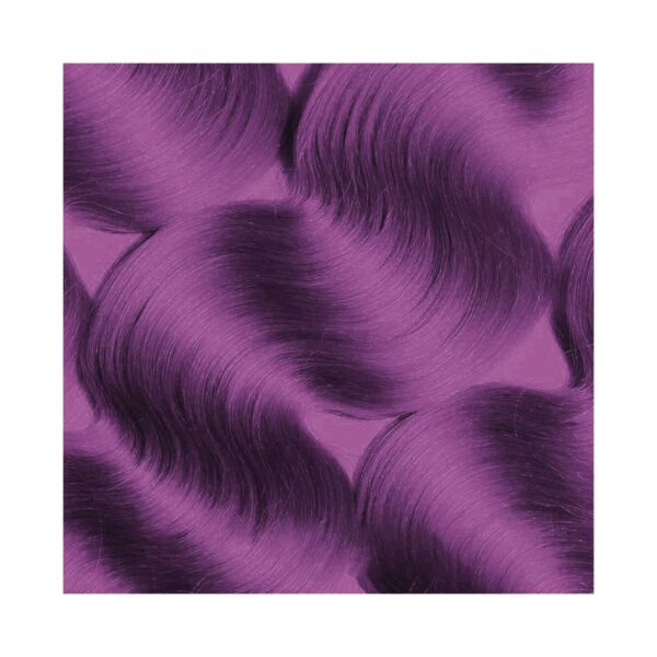 Paradyes Temporary One Wash Hair Color - Poison Purple (45g) - Paradyes