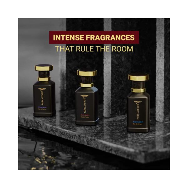 Park Avenue Conquer Eau De Parfum (50ml) - Park Avenue