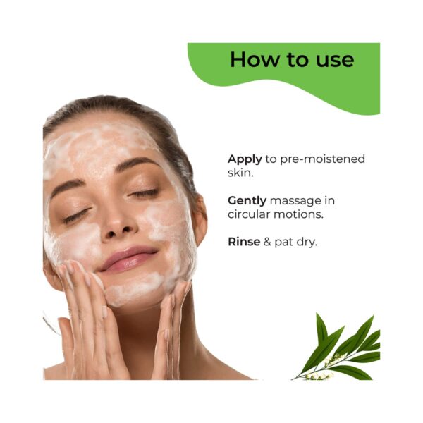 Pilgrim Tea Tree Purifying Gel Face Wash (100ml) - Pilgrim