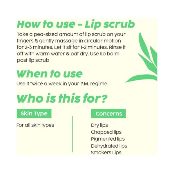 Plix Pomegranate Exfoliating Lip Scrub And Plumping Lip Mask Combo For Dark, Dry & Chapped Lips - (2 Pcs) - Plix