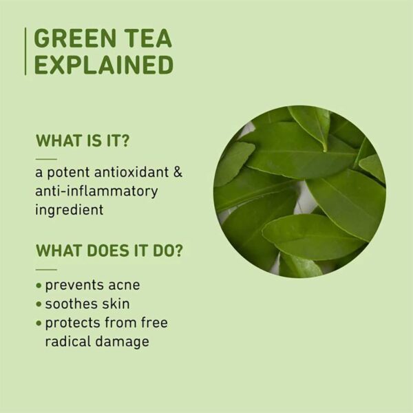 Plum Green Tea Alcohol-Free Toner, Glycolic Acid, Tighten Pores, Fights Pimples & Control Oil(200ml) - Plum